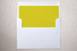 Slip-In Envelope Liners
