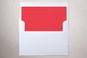 Slip-In Envelope Liners