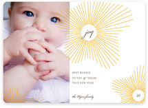 float + joy New Year's Photo Cards