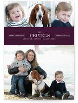 Modern Family Crest New Year's Photo Cards