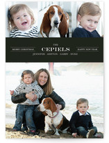 Modern Family Crest New Year's Photo Cards