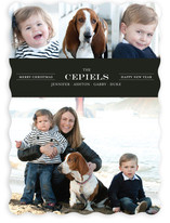 Modern Family Crest New Year's Photo Cards