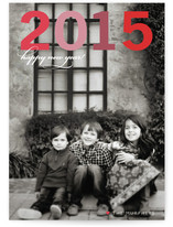 Big Year New Year's Photo Cards