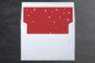 Slip-In Envelope Liners