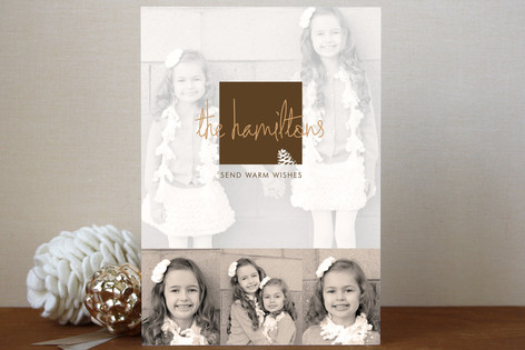 Frosted Pinecone Holiday Postcards
