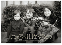 Multiplied Joy Holiday Postcards