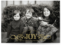Multiplied Joy Holiday Postcards