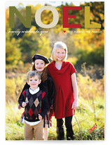 Noel Holiday Postcards