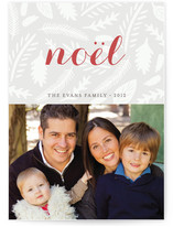 Winter Foliage Holiday Postcards
