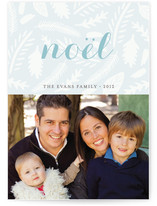 Winter Foliage Holiday Postcards