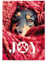 Paw Print Holiday Photo Cards