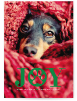 Paw Print Holiday Photo Cards