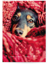 Paw Print Holiday Photo Cards