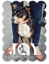 Paw Print Holiday Photo Cards