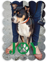 Paw Print Holiday Photo Cards