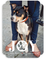 Paw Print Holiday Photo Cards