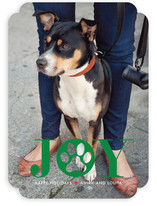Paw Print Holiday Photo Cards