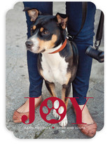 Paw Print Holiday Photo Cards