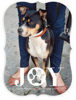 Paw Print Holiday Photo Cards