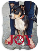 Paw Print Holiday Photo Cards