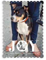 Paw Print Holiday Photo Cards