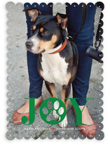 Paw Print Holiday Photo Cards