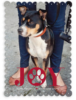 Paw Print Holiday Photo Cards