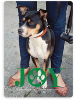 Paw Print Holiday Photo Cards