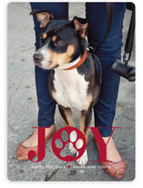 Paw Print Holiday Photo Cards