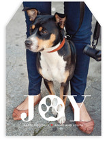 Paw Print Holiday Photo Cards