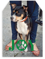 Paw Print Holiday Photo Cards
