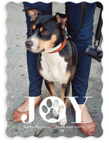 Paw Print Holiday Photo Cards