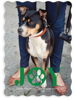 Paw Print Holiday Photo Cards
