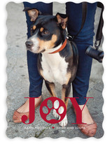 Paw Print Holiday Photo Cards