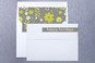 Liner and Label