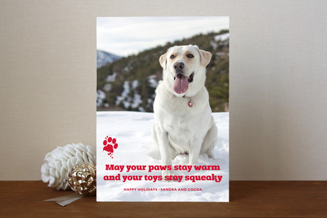 Frosty Paws Holiday Photo Cards