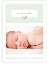 Fresh Cut Leaf Holiday Photo Cards