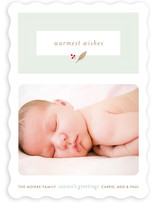 Fresh Cut Leaf Holiday Photo Cards