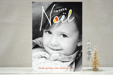 A New Noel Holiday Photo Cards