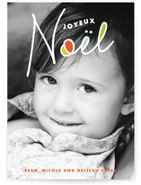 A New Noel Holiday Photo Cards