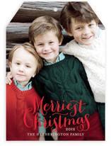 Merriest Holiday Photo Cards