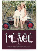 Festive Noel Holiday Photo Cards