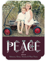 Festive Noel Holiday Photo Cards
