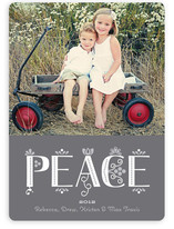 Festive Noel Holiday Photo Cards