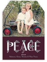 Festive Noel Holiday Photo Cards