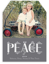 Festive Noel Holiday Photo Cards