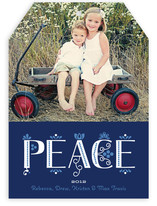 Festive Noel Holiday Photo Cards
