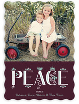 Festive Noel Holiday Photo Cards