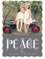 Festive Noel Holiday Photo Cards