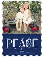 Festive Noel Holiday Photo Cards